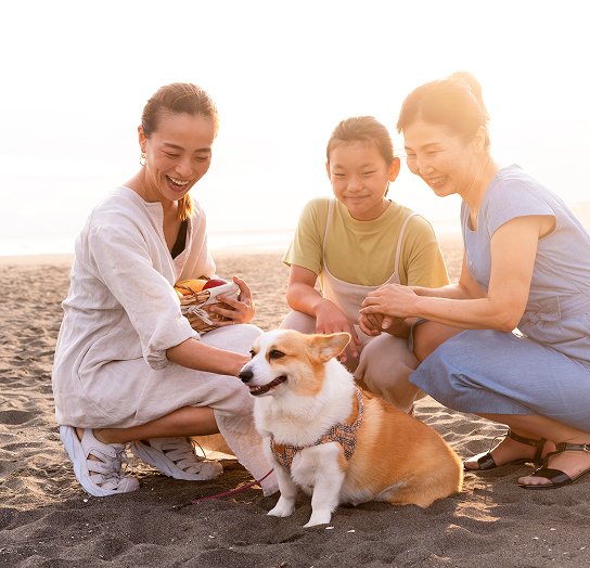 close-up-japanese-family-having-fun