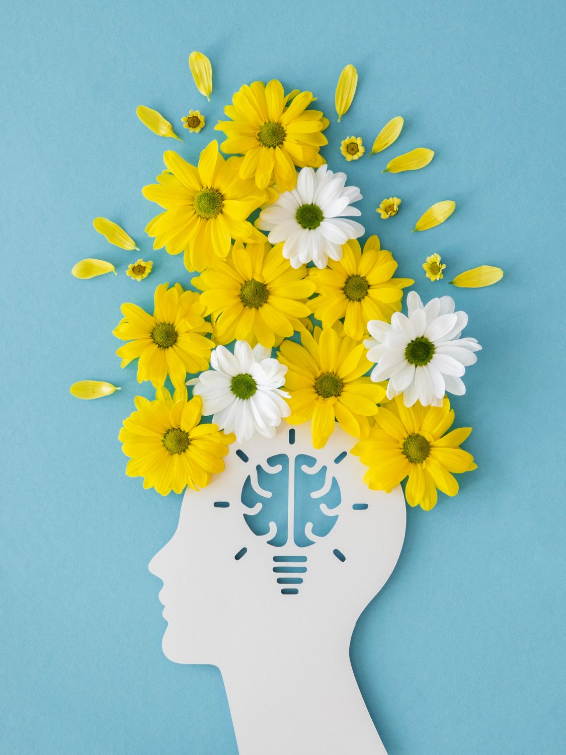 ef875cc77404c1eb9d1cbd9d6573f050