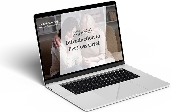 rainbow-path-ep-laptop